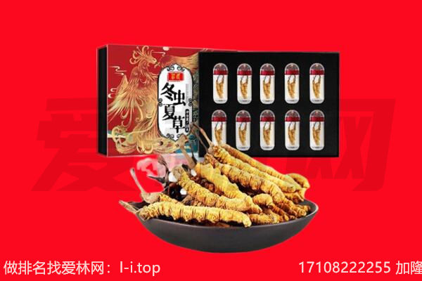 新宁县回收虫草.jpg